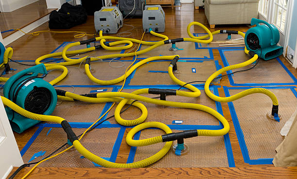 Professional Flood Damage Restoration technician working in Galesburg, IL